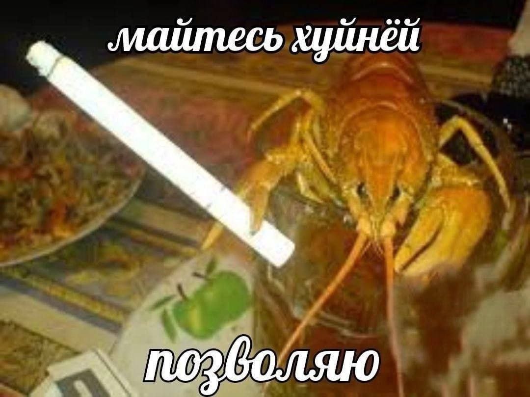eee майтесь хцйнёй 4 4