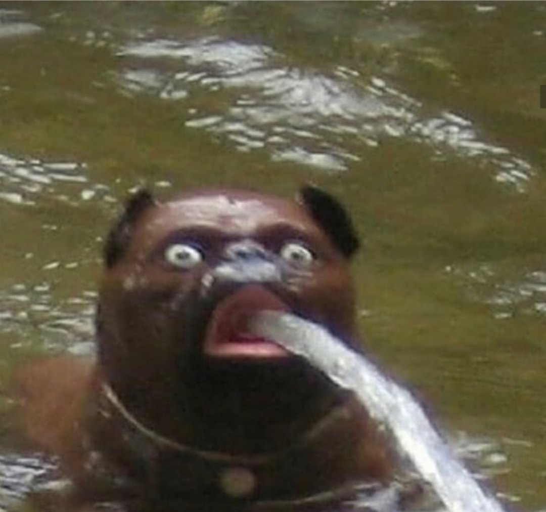 a 3