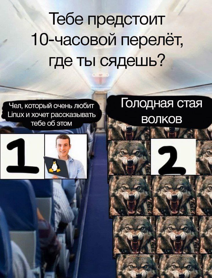 Тебе предстоит 10-часовой перелет, где ты сядешь? Чел, который любит Голодная стая Linux и хочет рассказывать Тебе об этом ВОЛ КОВ