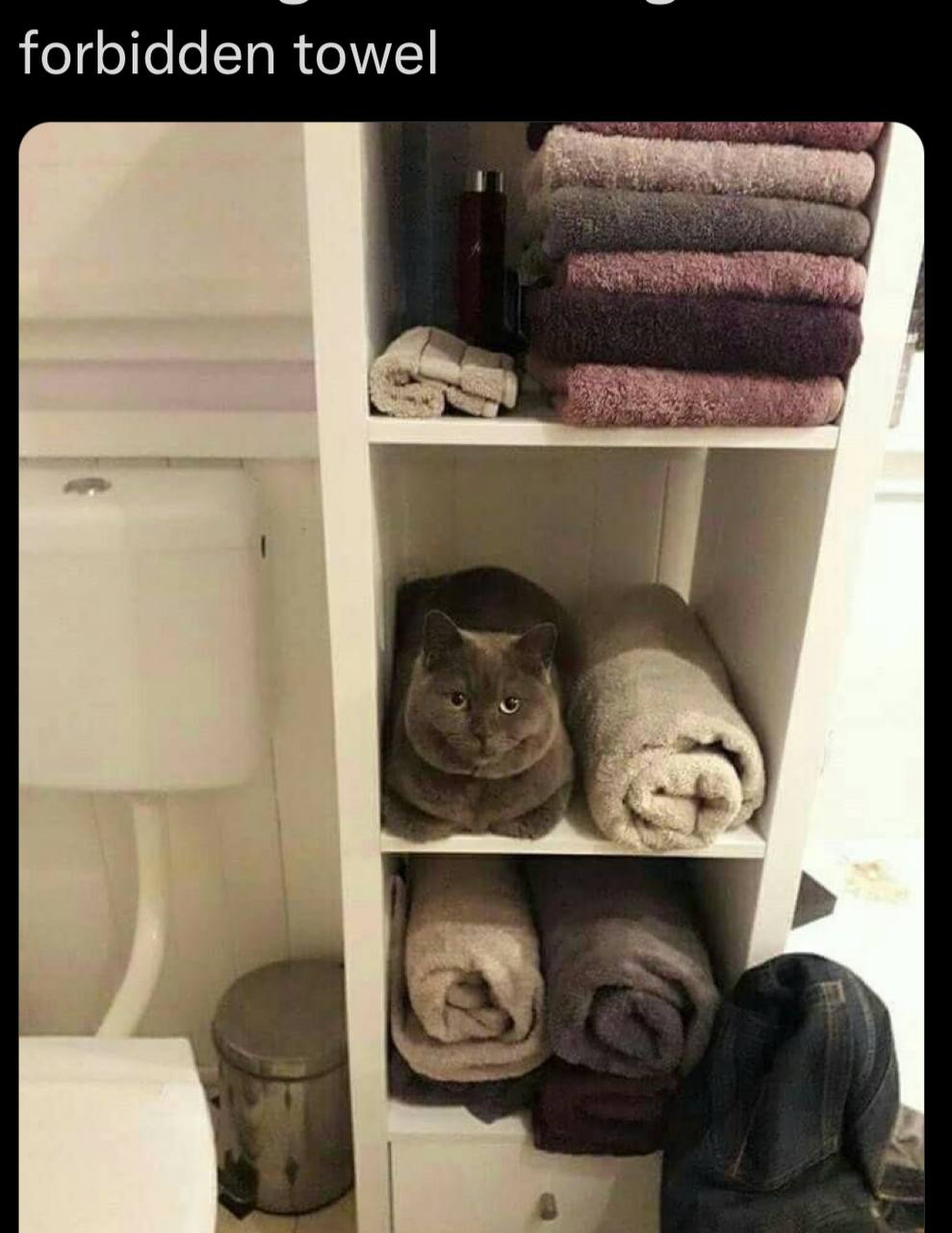 forbidden towel