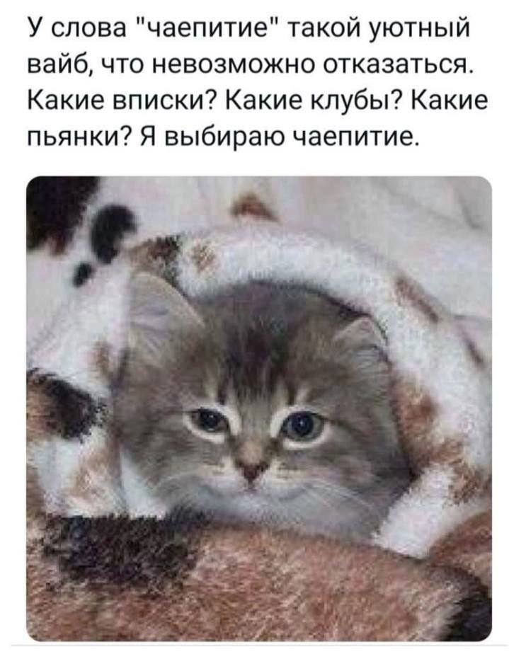 У слова "чаепитие" такой уютный вайб, что невозможно отказаться. Какие вписки? Какие клубы? Какие пьянки? Я выбираю чаепитие.