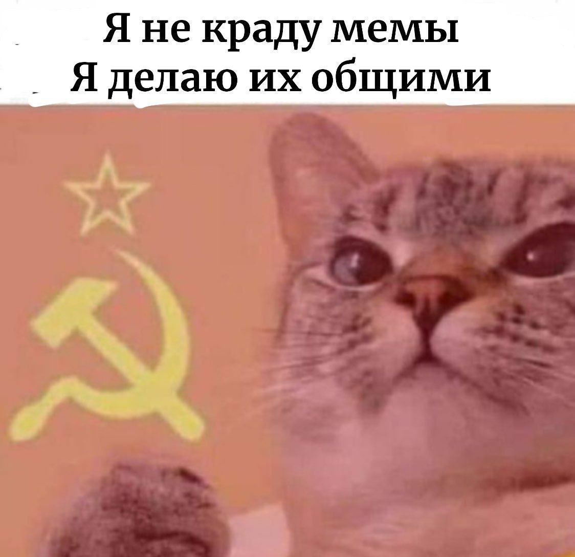 Я не краду мемы Я делаю общими