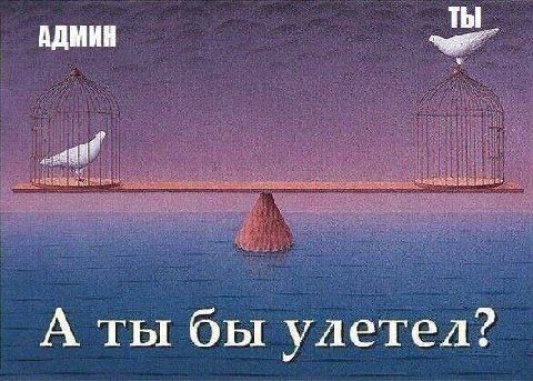 АДМИН А ты бы улетел?