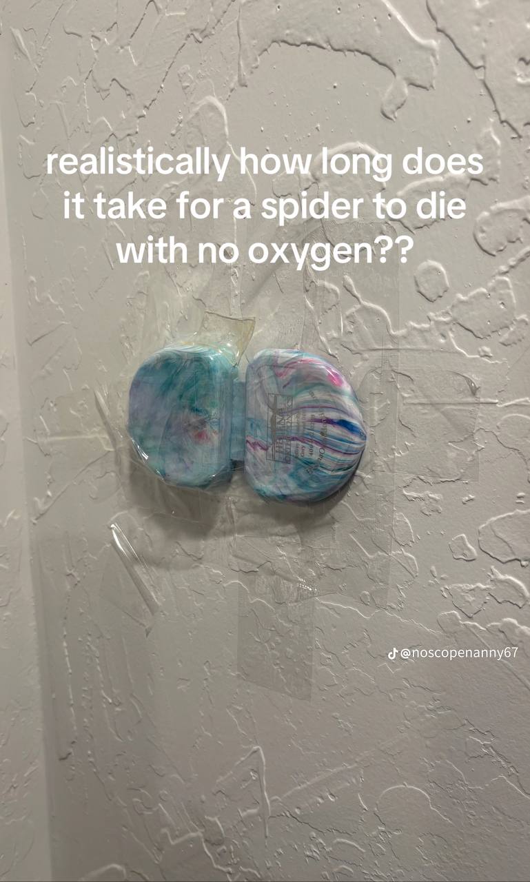 realistically dog it take for a spider to with oxygen?? 2 а @noscopenanny67