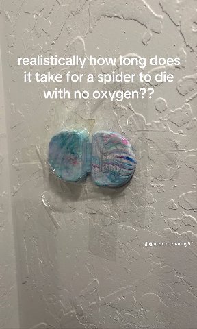 realistically dog it take for a spider to with oxygen?? 2 а @noscopenanny67