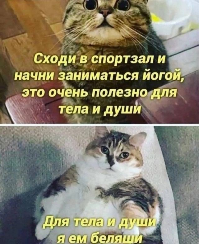 Сходи в спортзал и начни заниматься это очень полезно для тела и души 4 Для яем беляш
