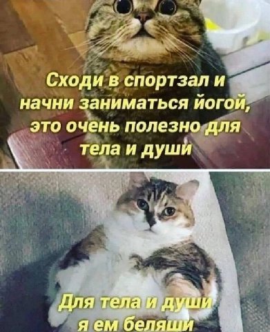 Сходи в спортзал и начни заниматься это очень полезно для тела и души 4 Для яем беляш