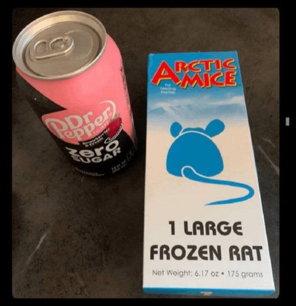 1 LARGE FROZEN RAT