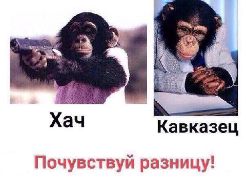 хач кавказец почувствуй разницу