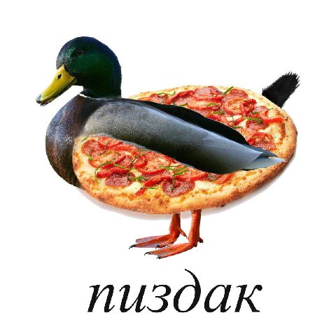 4. we пиздак