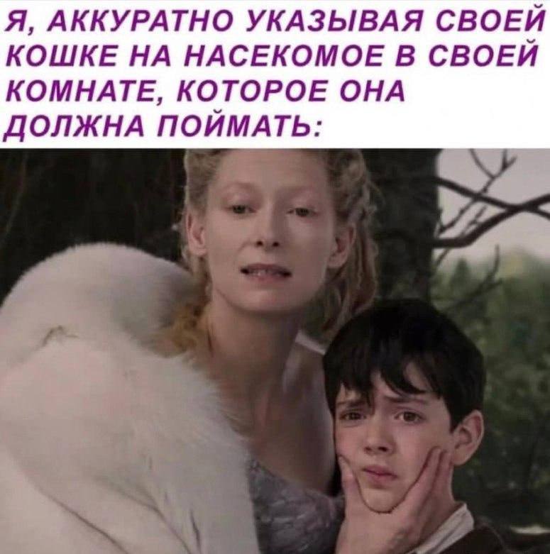 Я, АККУРАТНО УКАЗЫВАЯ СВОЕЙ КОШКЕ НА НАСЕКОМОЕ В СВОЕЙ КОМНАТЕ, КОТОРОЕ ОНА ДОЛЖНА ПОЙМАТЬ: