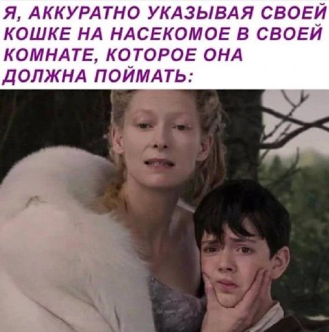 Я, АККУРАТНО УКАЗЫВАЯ СВОЕЙ КОШКЕ НА НАСЕКОМОЕ В СВОЕЙ КОМНАТЕ, КОТОРОЕ ОНА ДОЛЖНА ПОЙМАТЬ: