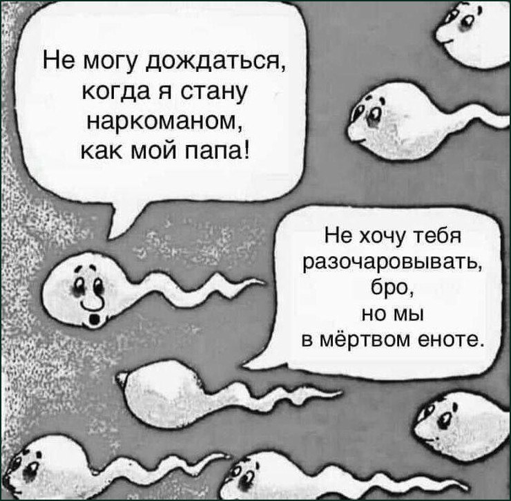 Не могу дождаться, когда я стану наркоманом, как мой папа! Не хочу тебя разочаровывать, бро, мы в мёртвом еноте. is ~i