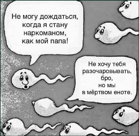 Не могу дождаться, когда я стану наркоманом, как мой папа! Не хочу тебя разочаровывать, бро, мы в мёртвом еноте. is ~i