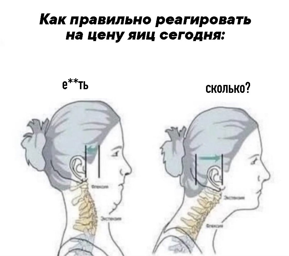 Как правильно реагировать на цену яиц сегодня: е**ть сколько? Say