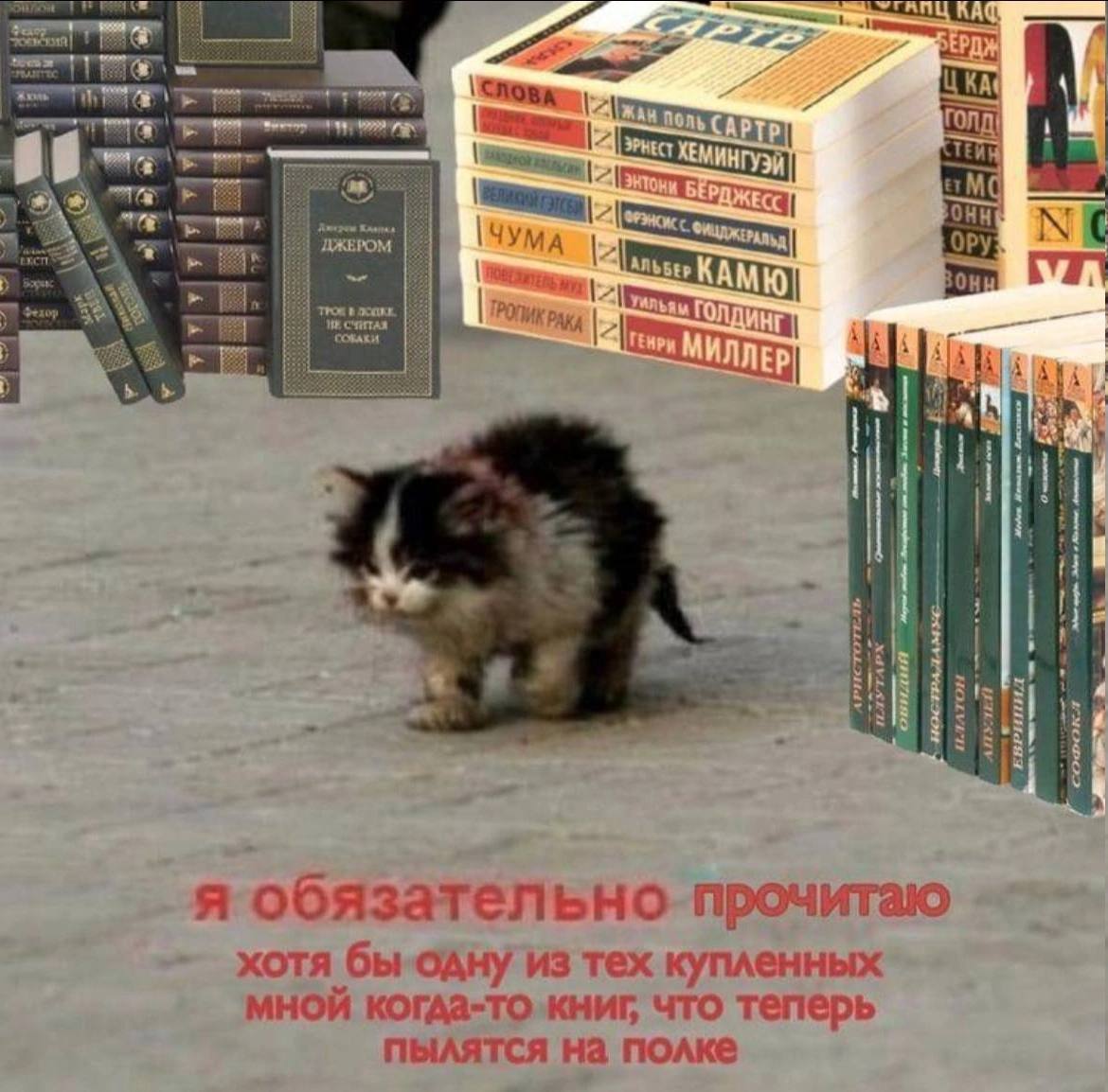 2 99 2: 8 я обязательно прочитаю хотя бы-одну из тех купленных мной когда-то-книг, что теперь пылятся на полке