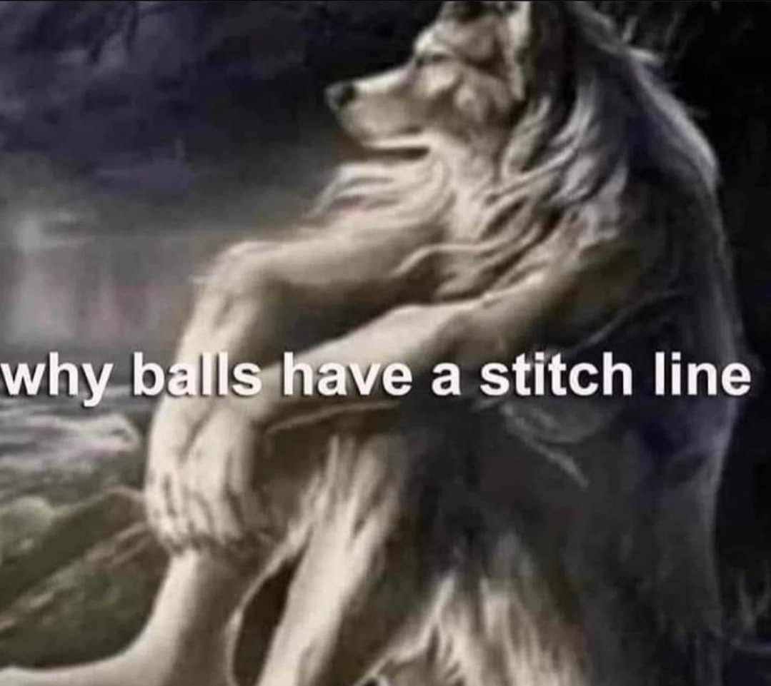 why have a Stitch line
