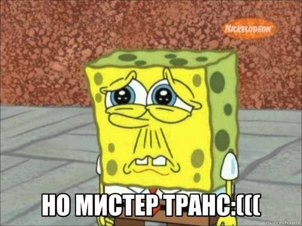 МИСТЕР