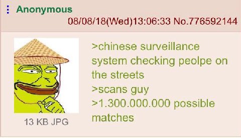 Anonymous 08/08/18(Wed)13:06:33 No.776592144 >chinese surveillance system checking peolpe on the streets >scans guy >1.300.000.000 possible 13 JPG matches