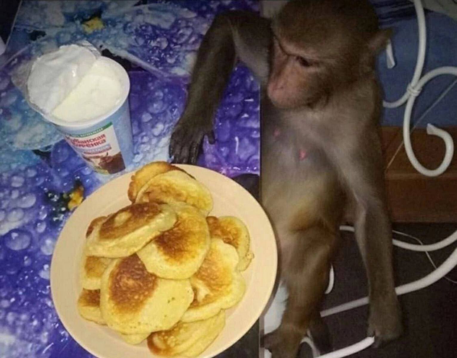 i 2 и у