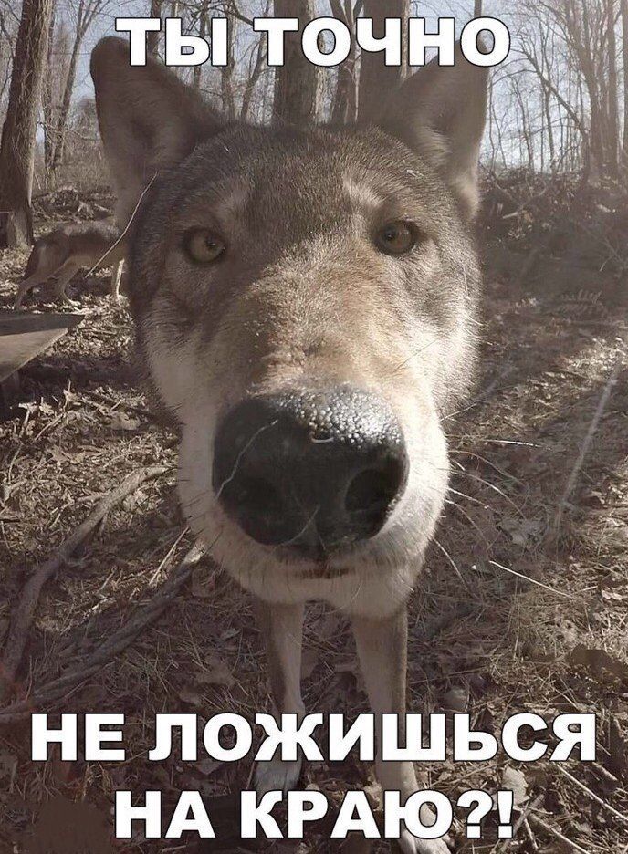 Wash! у he a TOU Я 2$ “3 1 A HE ложишься. НА КРАЮ?!