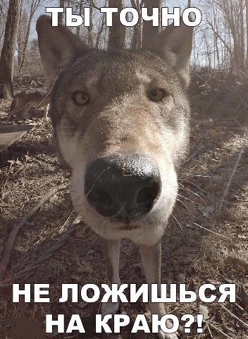 Wash! у he a TOU Я 2$ “3 1 A HE ложишься. НА КРАЮ?!