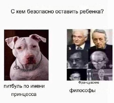 С кем безопасно оставить ребенка? Французские питбуль по имени философы принцесса