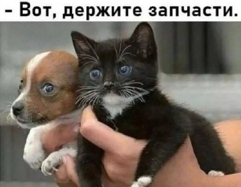 Вот, держите запчасти.