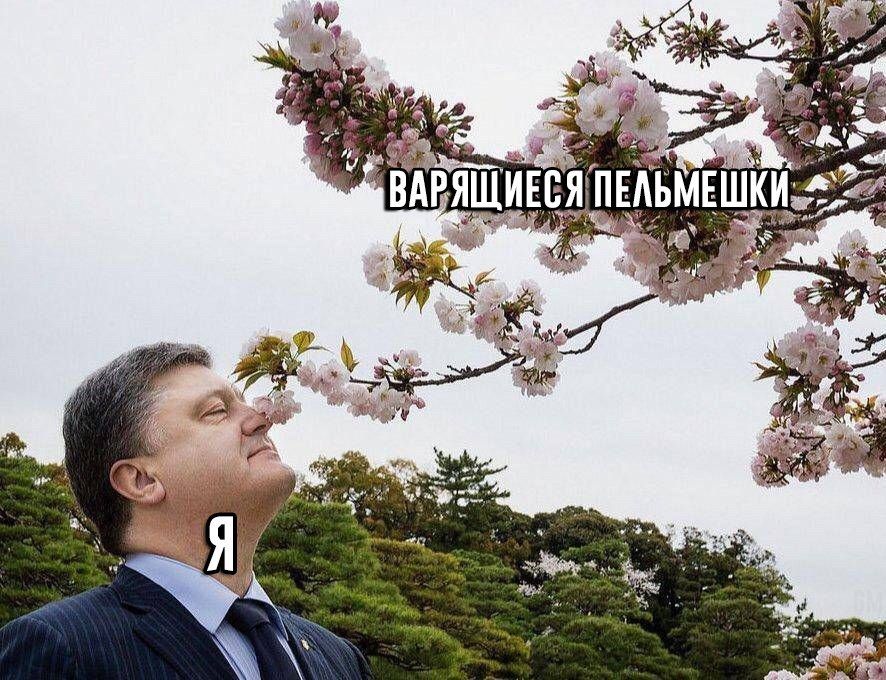 22 и SPS ВАРЯЩИЕСЯ ПЕЛЬМ ШКИ a a thw
