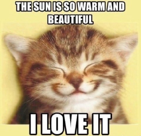 BEAUTIFUL