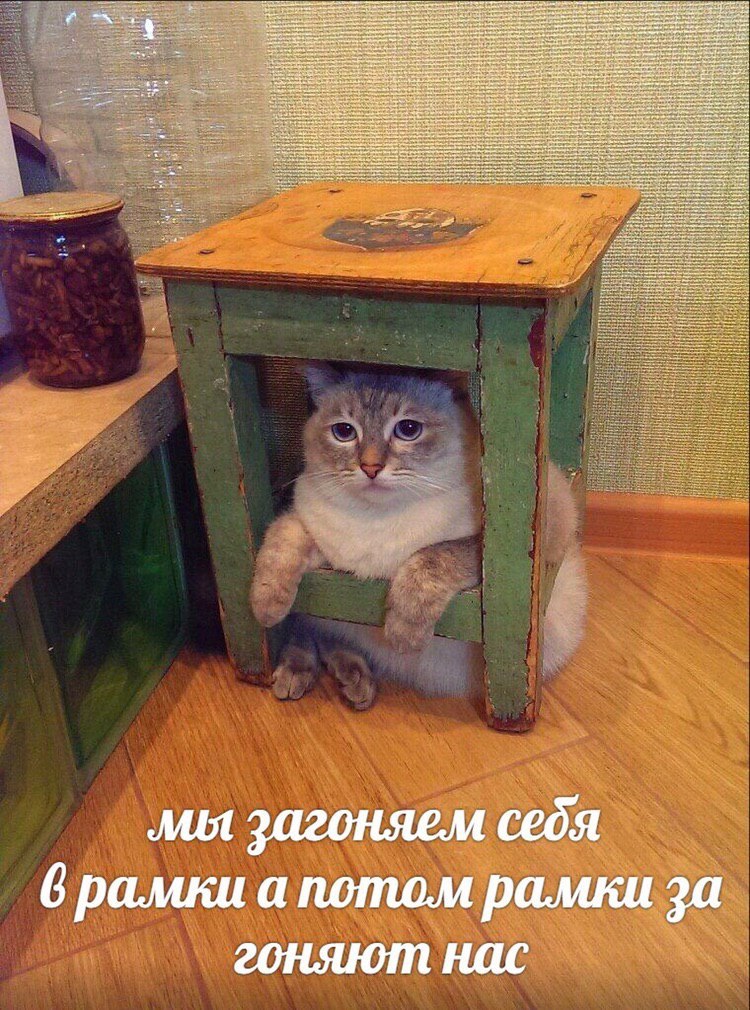 at мы загоняем себя 6 рамки а потом рамки за гоняют нас