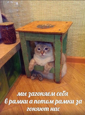at мы загоняем себя 6 рамки а потом рамки за гоняют нас