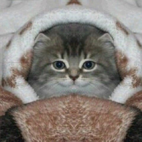 и