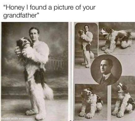 “Honey found a picture of your grandfather” я
