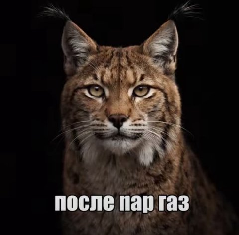 после пар газ