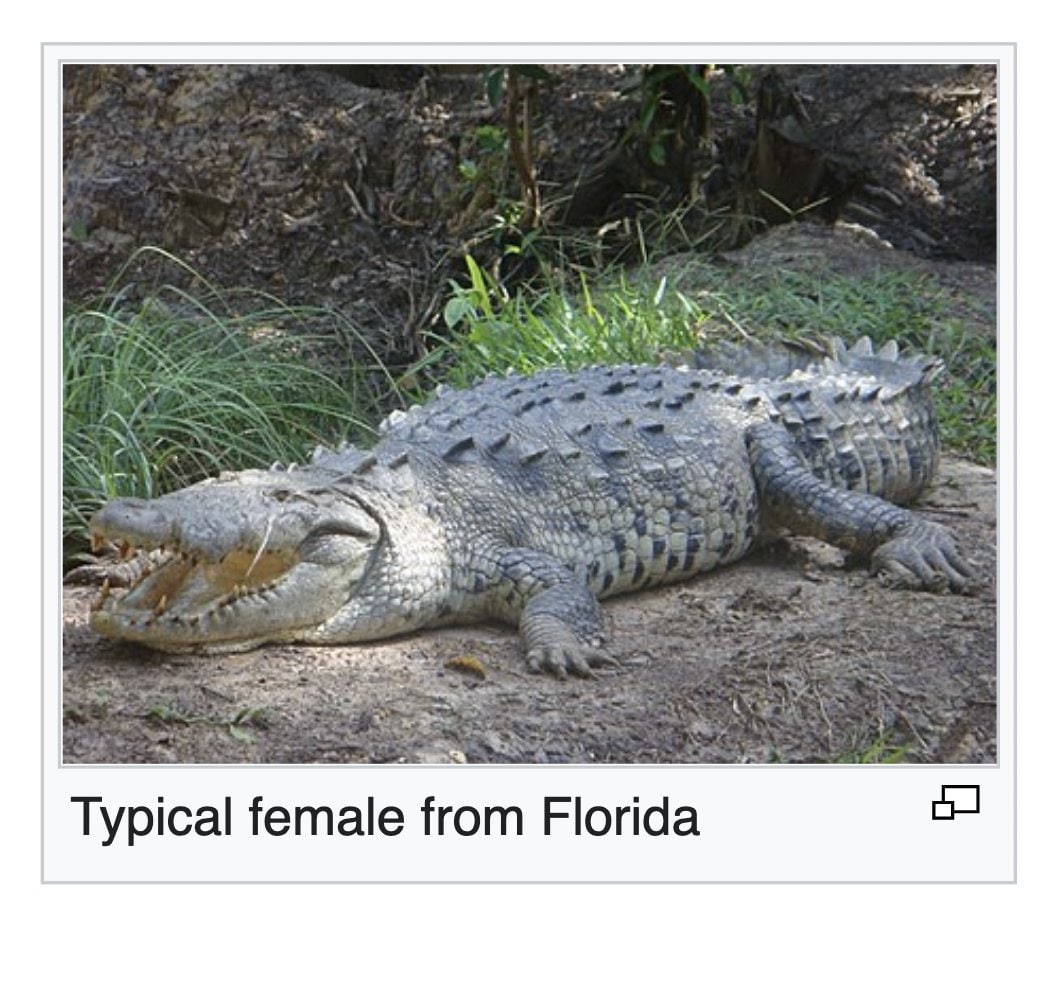 2. Typical female from Florida