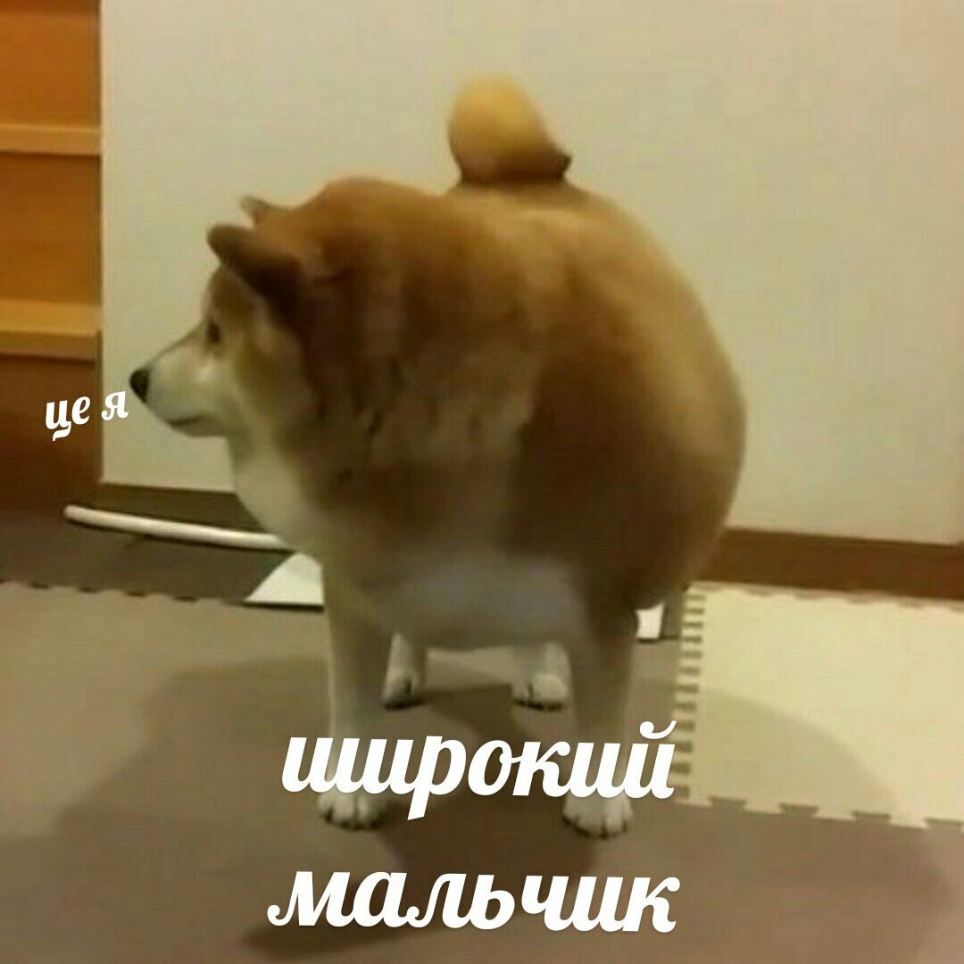 цея широкий мальчик