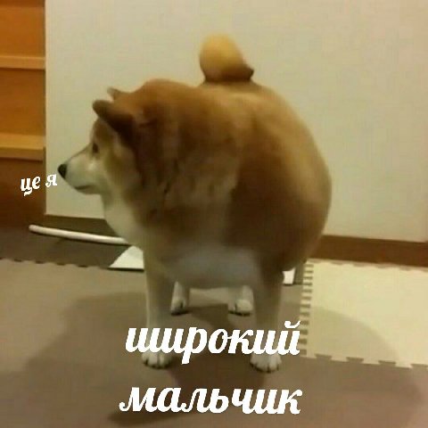 цея широкий мальчик