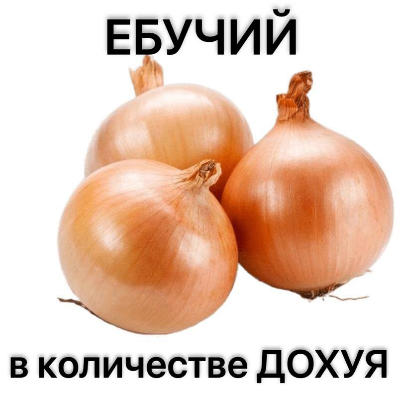 ЕБУЧИЙ 27. ayy, в количестве ДОХУЯ