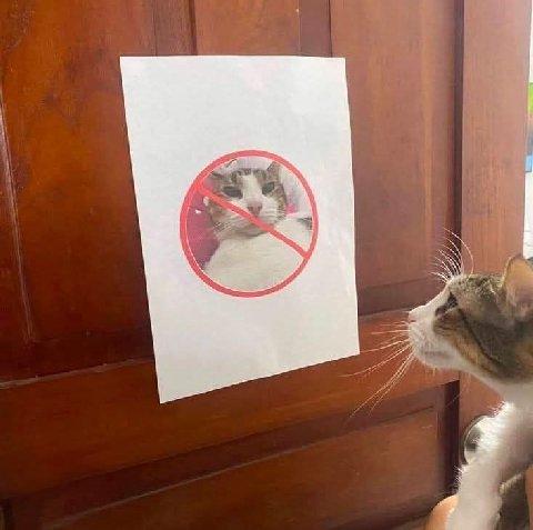 1 у