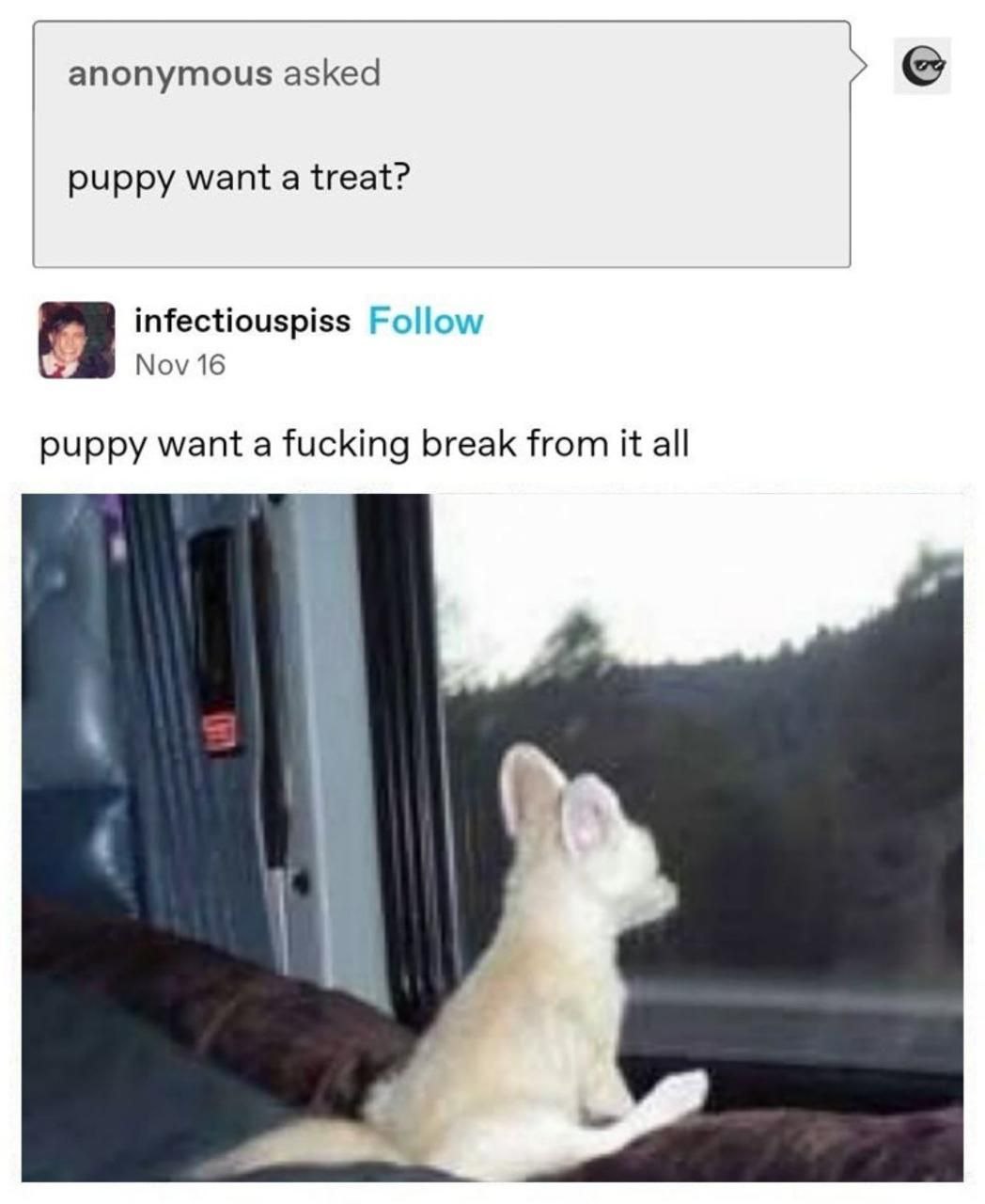 anonymous asked puppy want a treat? infectiouspiss Follow Nov 16 puppy want a fucking break from it all