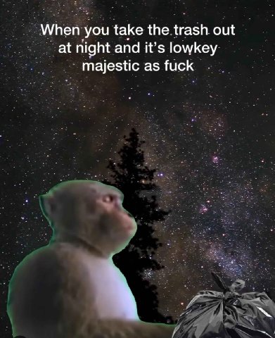 When you take the trash out at night and it’s lowkey majestic as fuck