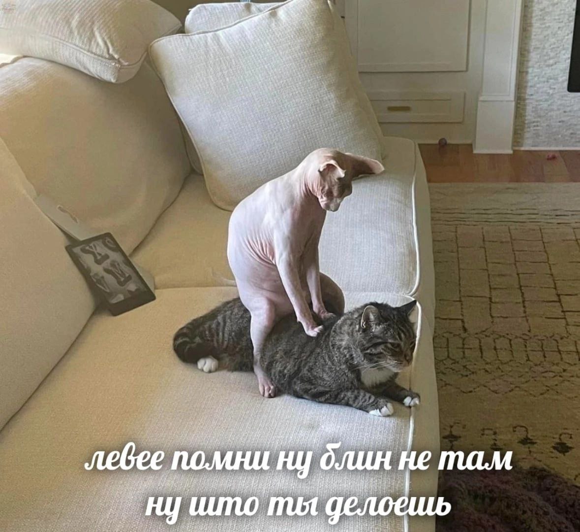 Hemam левее помни ну блин ну што ты делоешь