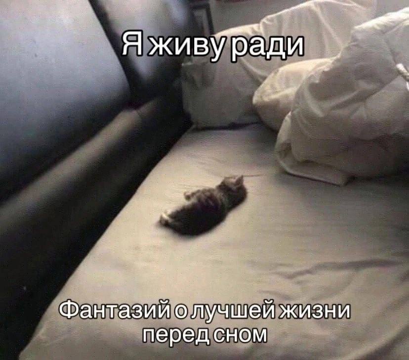 Я живу ГРади Фантазии о лучшей жизни перед сном