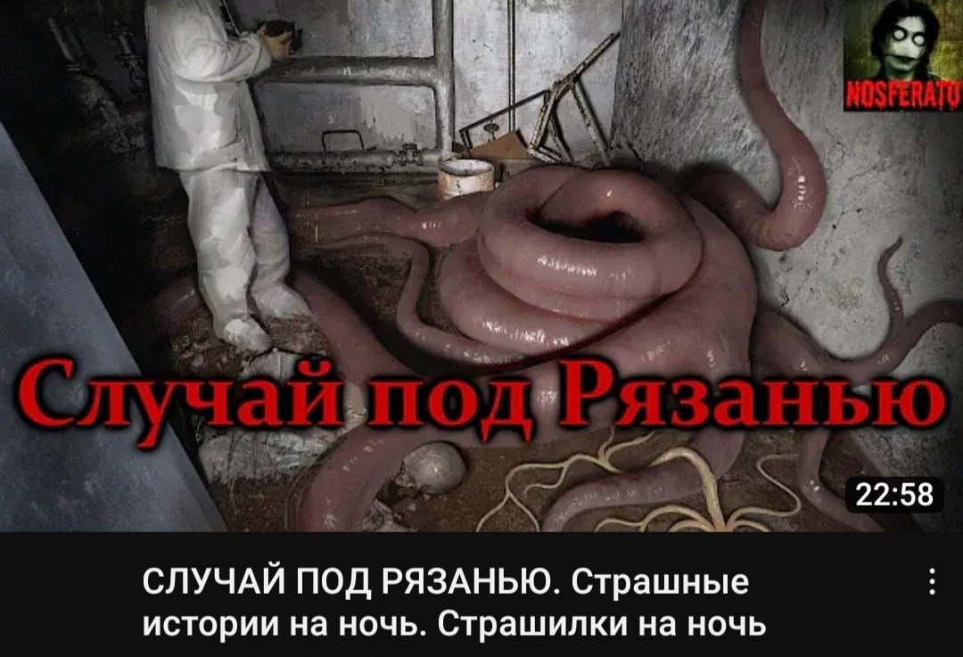 22:58 СЛУЧАЙ ПОД РЯЗАНЬЮ. Страшные истории на ночь. Страшилки на ночь