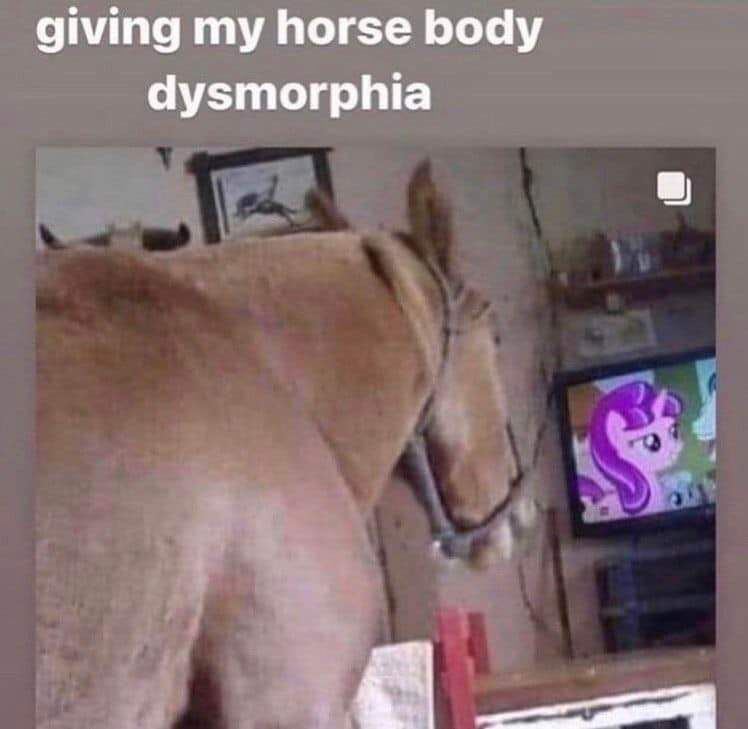 giving my horse body dysmorphia