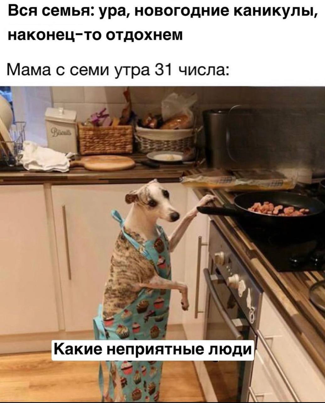 Вся семья: ура, новогодние каникулы, наконец-то отдохнем Мама с семи утра 31 числа: Какие неприятные люди