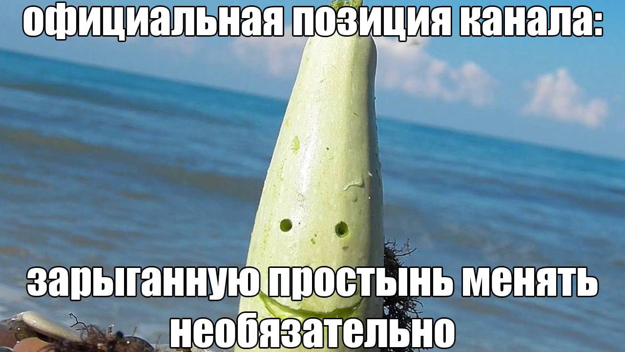 официальная позиция ванала: и Я an зарыганнуютростынь менять еобяза язательн у у