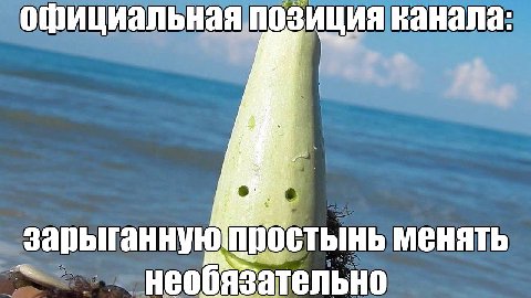 официальная позиция ванала: и Я an зарыганнуютростынь менять еобяза язательн у у