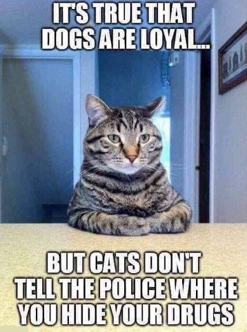 IT'S TRUE THAT DOGS ARE LOYAL... eos at a eon, res CAT 00 TEL HE OLICE WHERE YOu IDEVOU DRUGS